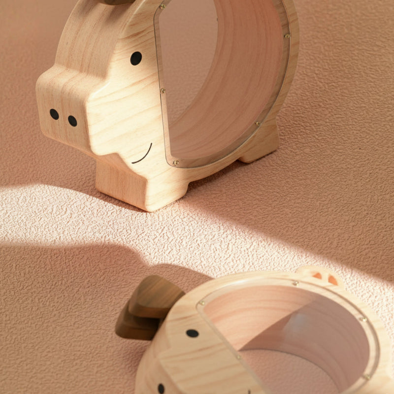 Transparent Wooden Piggy Bank